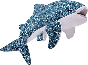 71YTWYGPFZL._AC_UF350,