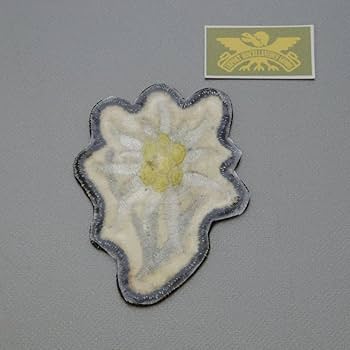 Amazon | 旧 ドイツ軍 独 ワッペン バッジ 帽章 SS ドイツ 国防軍