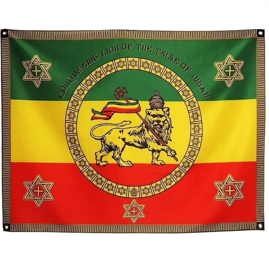 Amazon.co.jp: 【drs】ラスタ レゲエ ライオン エチオピア Imperial