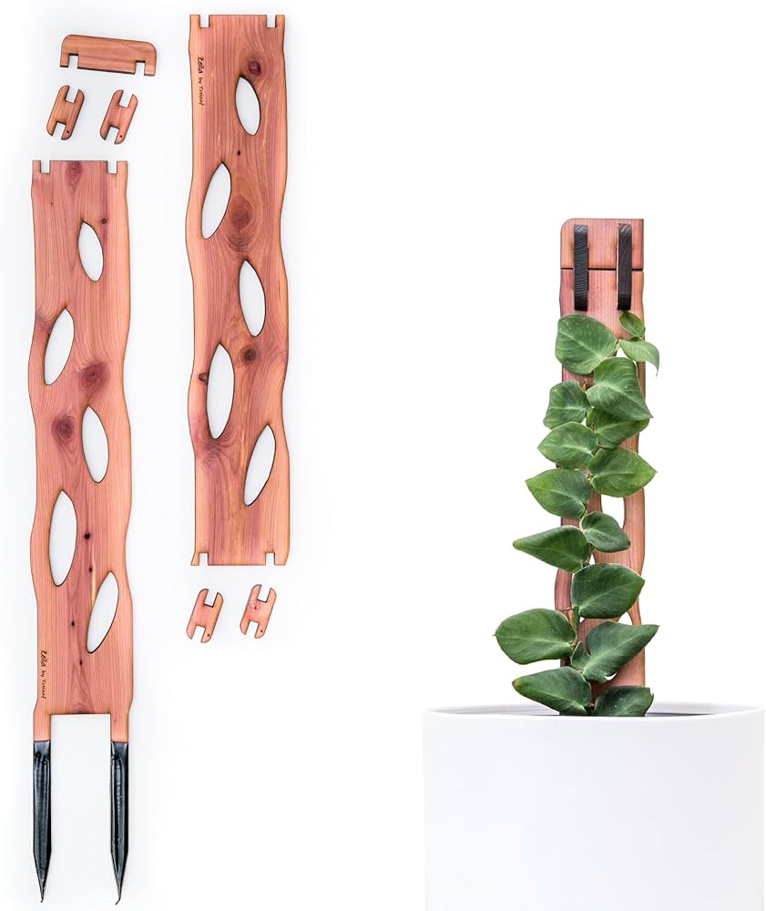 Amazon.com: Treleaf Zella Regular Starter Kit – Wooden Extendable