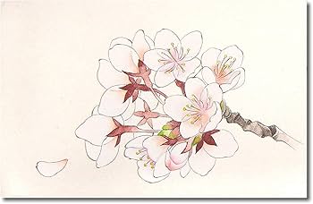 Amazon | 吉祥 日本画用絵具 岩絵具 30色セットNo.3 | 絵具 通販