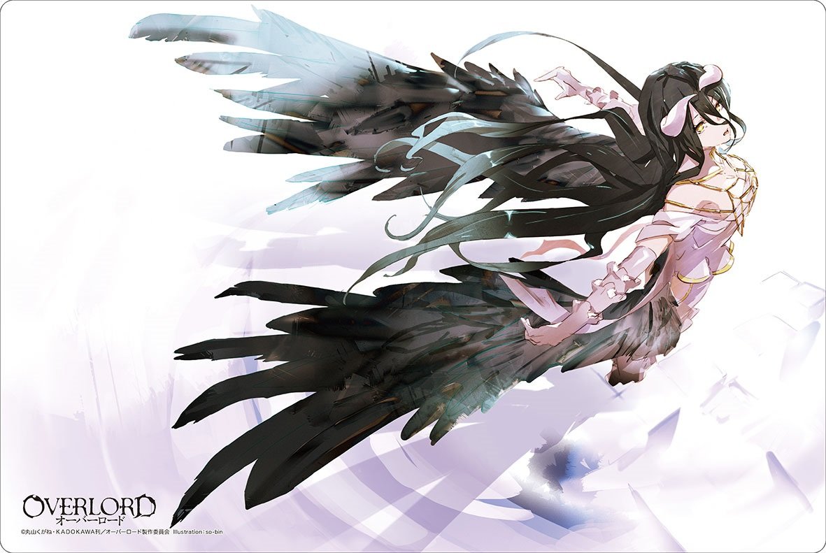 Amazon | ブシロード ラバーマットコレクション Vol.145 オーバー