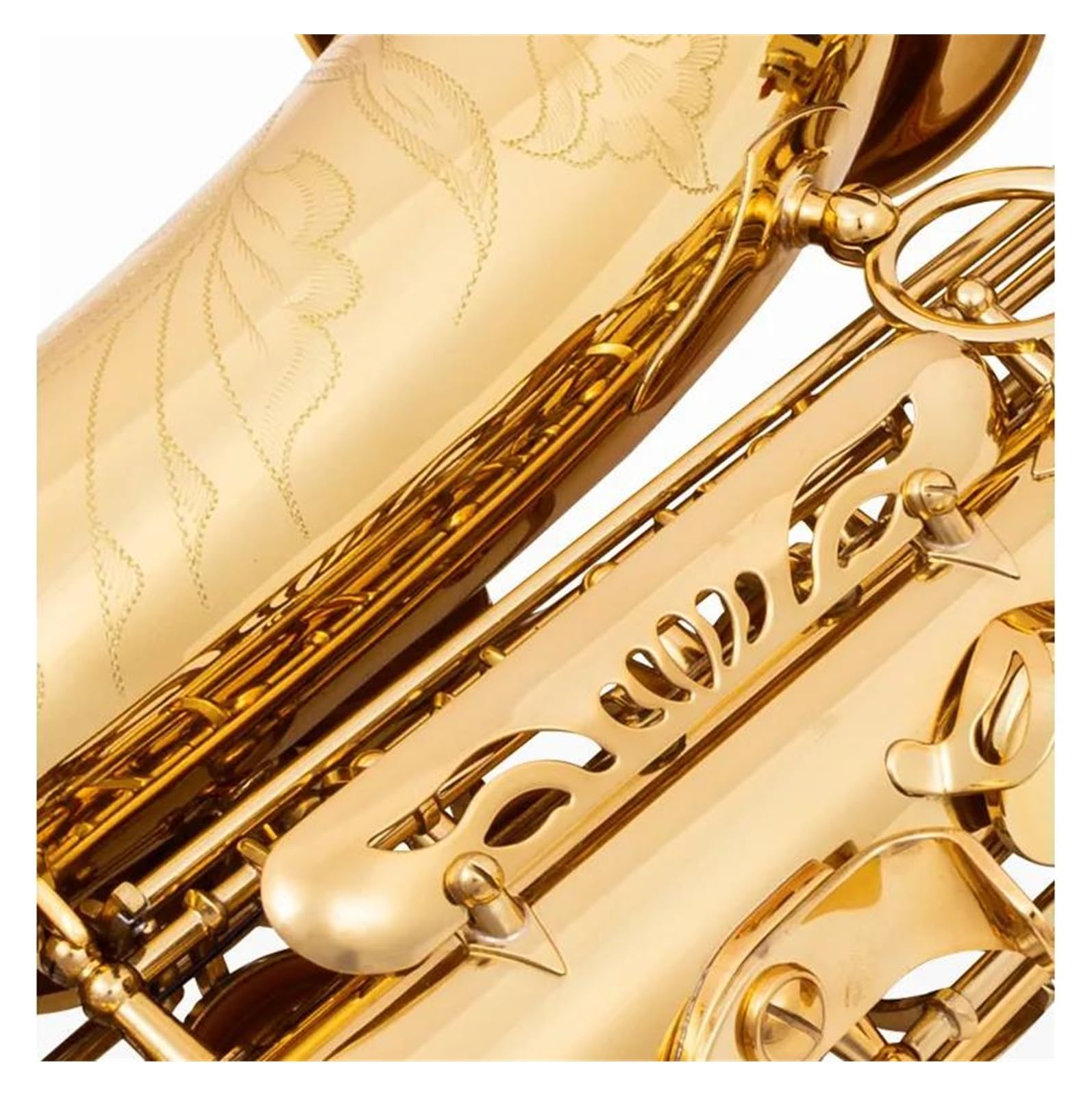 Amazon.co.jp: サックス ゴールドサックスEbアルトサックススーパー