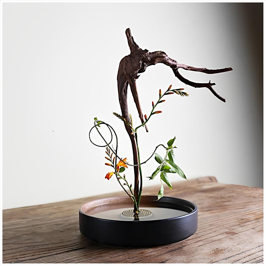 Amazon.co.jp: Flatland 生け花 花器 水盤 20cm 剣山 丸型 ゴムリング