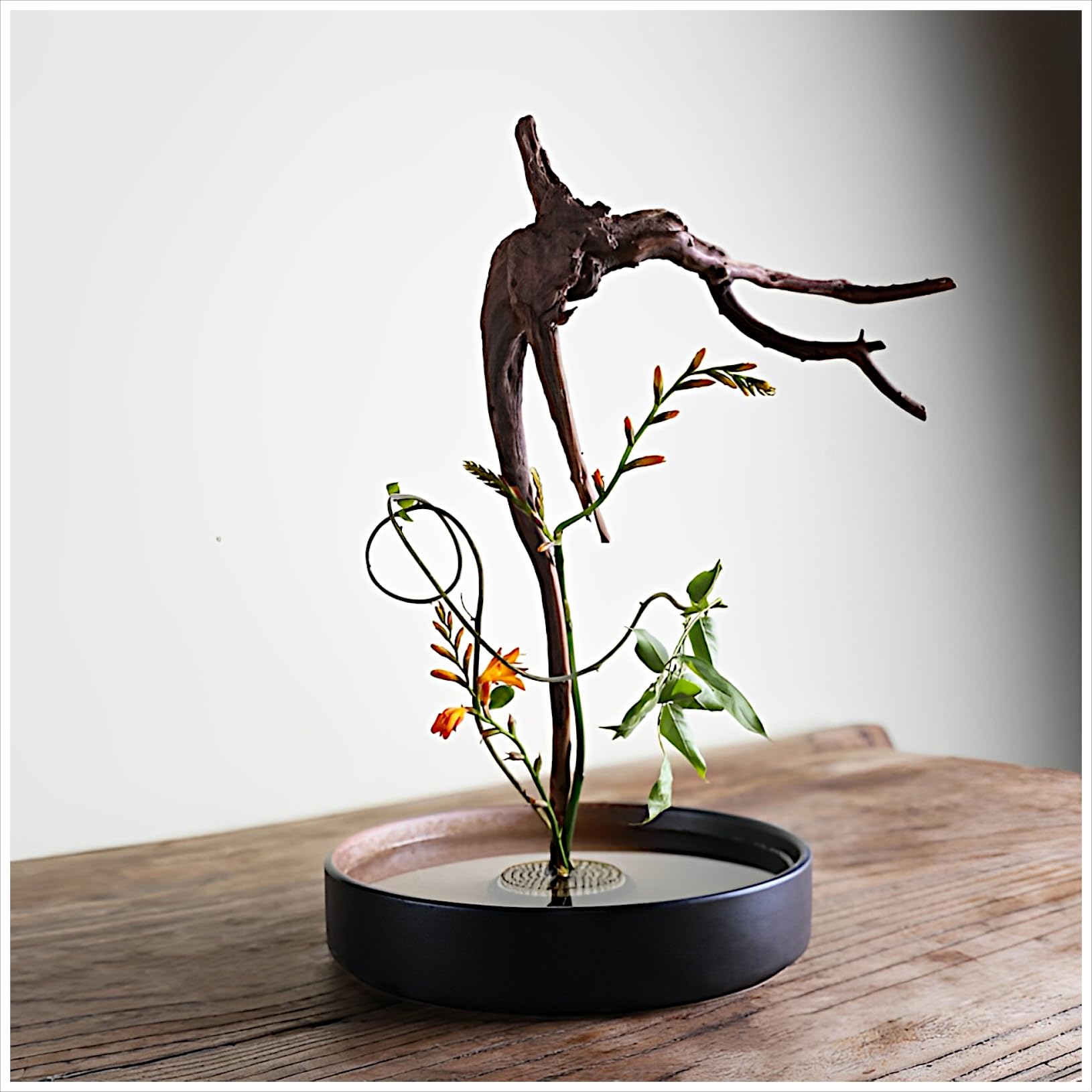 Amazon.co.jp: Flatland 生け花 花器 水盤 20cm 剣山 丸型 ゴムリング