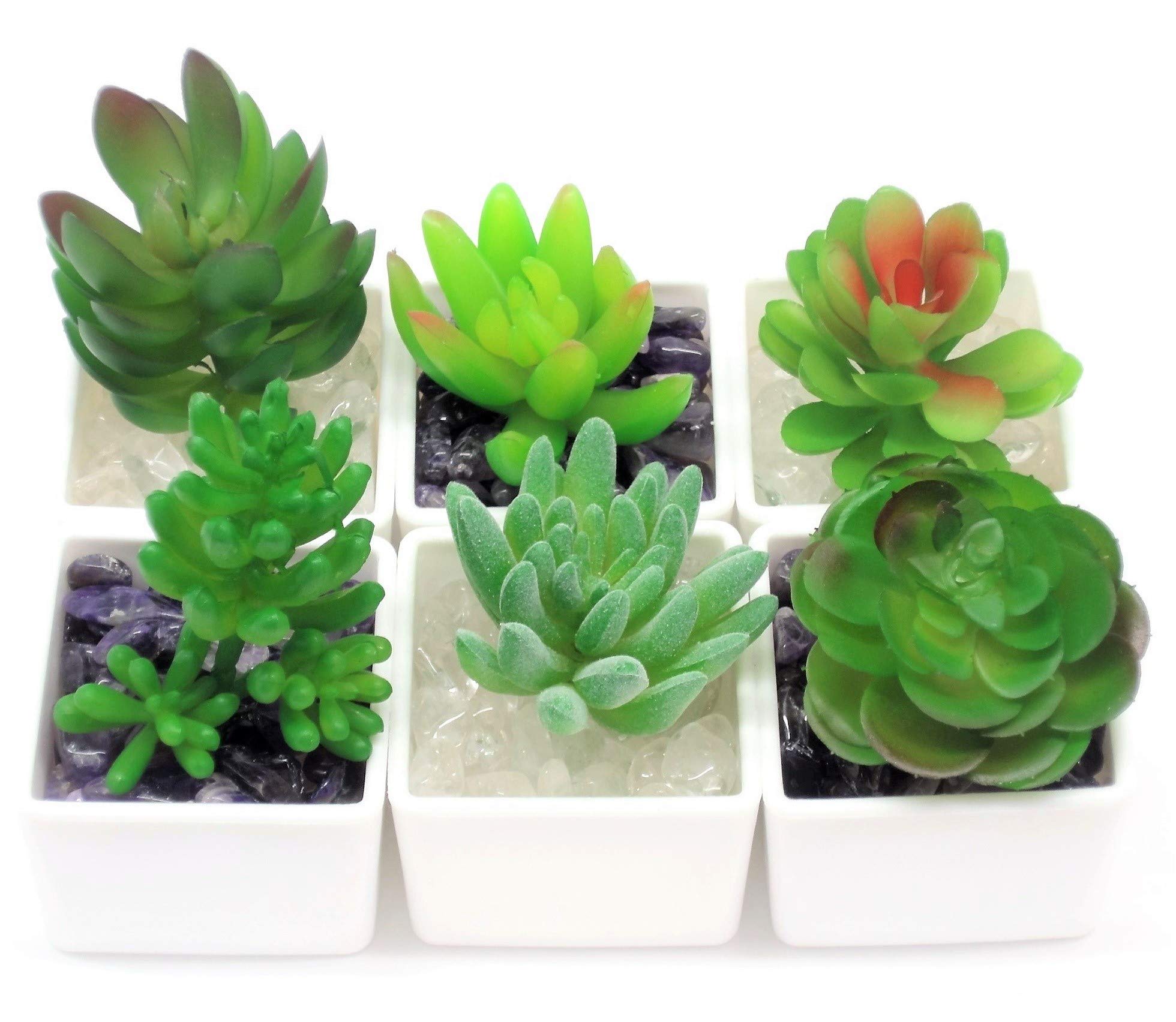 Amazon｜【ぴぴっと】 フェイクグリーン 人工観葉植物 風水 浄化