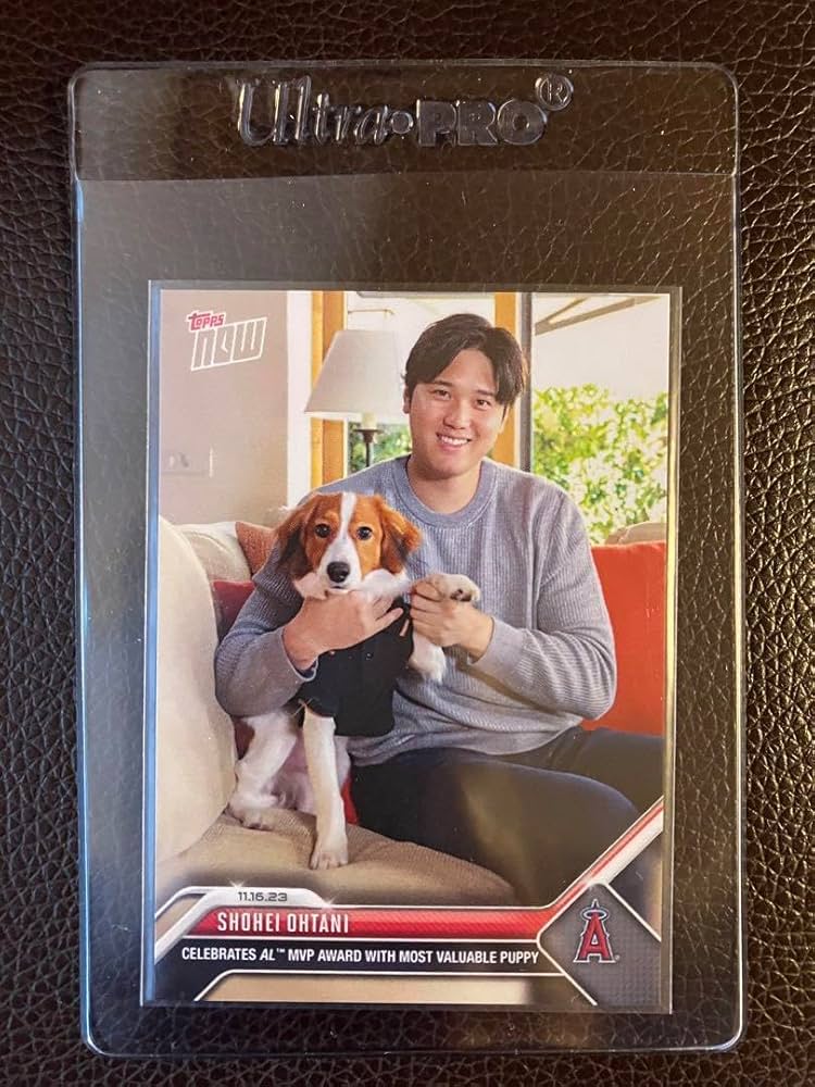 Amazon.co.jp: 大谷翔平 愛犬デコピン共演 2023MVP受賞記念カード 限定