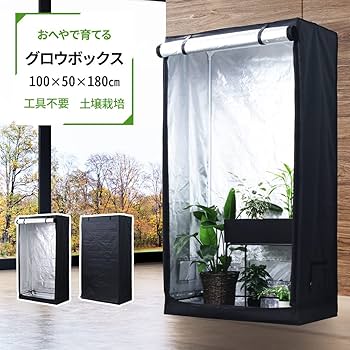 71ZYM1iZSXL._AC_UF350,