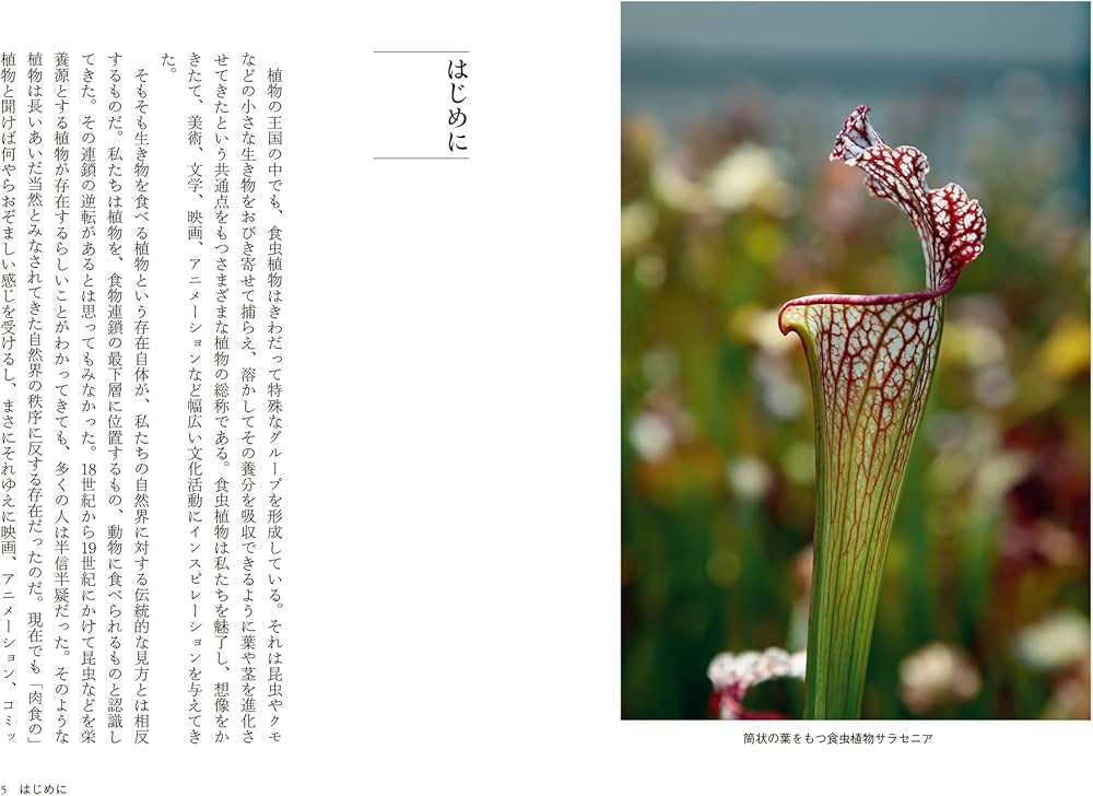 食虫植物の文化誌 (花と木の図書館) | ダン・トーレ, 伊藤 はるみ |本