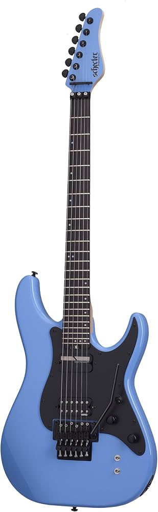 Amazon.com: Schecter Sun Valley Super Shredder with Floyd Rose and