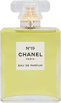 Amazon.com : No. 19 by Chanel for Women, Eau De Parfum Spray, 3.4