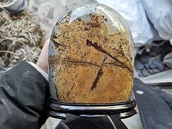 Amazon.co.jp: 草花石 自然石 天然石 超 置物 鑑賞石 飾り石 冬