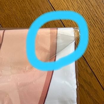 Amazon.co.jp: 桜井梨穂子 特大スイートシチュエーション布ポスター