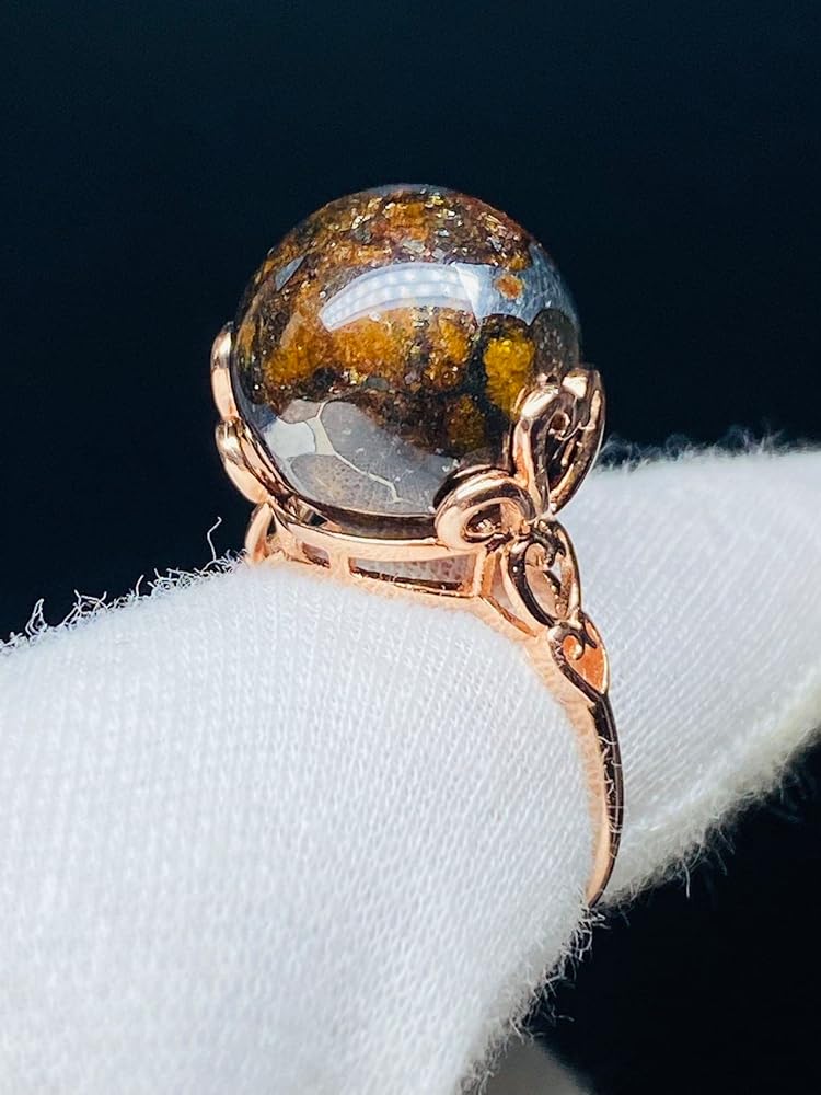 Amazon | 【鑑別書選択可能】 パラサイト隕石指輪 玉径15.4㍉ 指輪