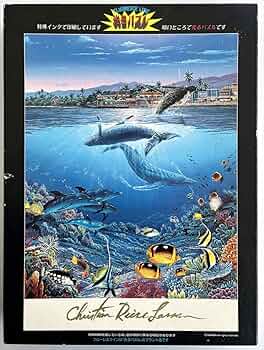 71b3d3Lb3wL._AC_UF350,