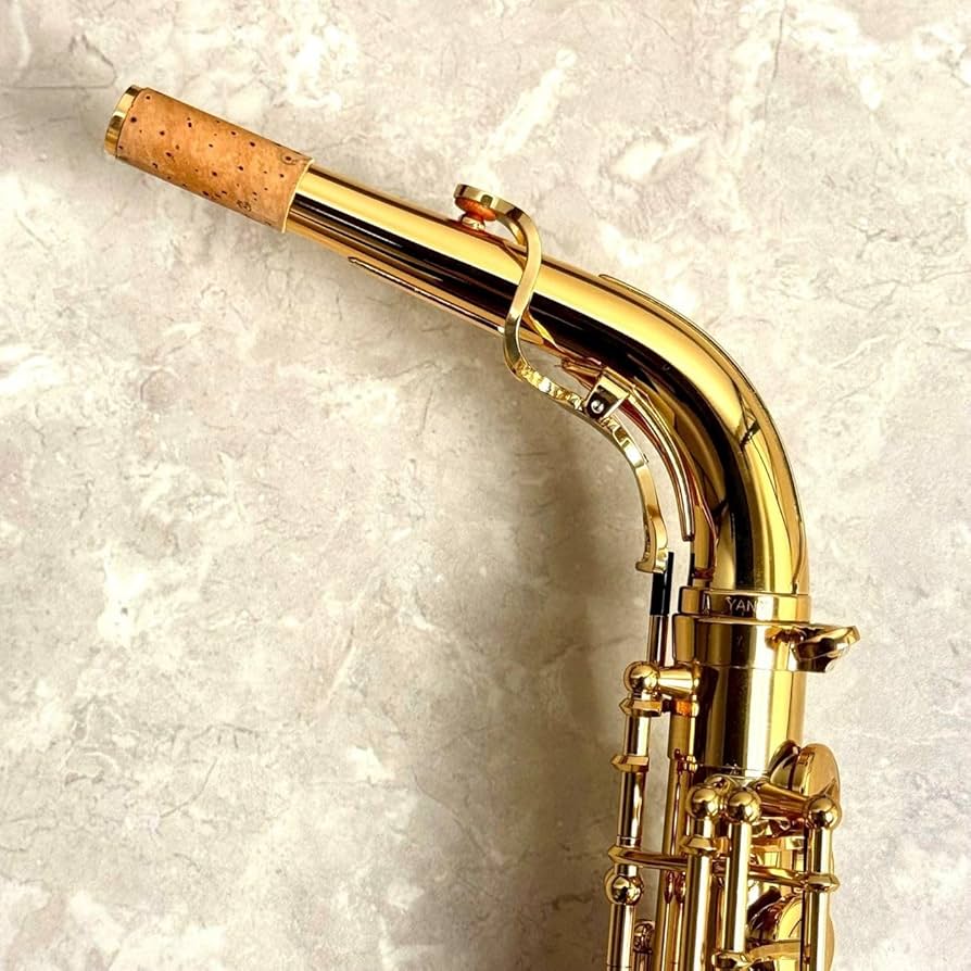 Amazon | YANAGISAWA A-WO10 アルトサックス ブラス製 ヘヴィー仕様