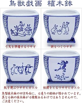 Amazon.co.jp: 植木鉢 陶器 皿付き 角鉢 正方角切鉢 2点セット(鳥獣