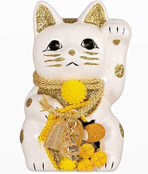 71bCu6KIs2L._AC_UF350,