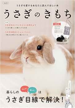 71bLkJ5TE5L._AC_UF350,