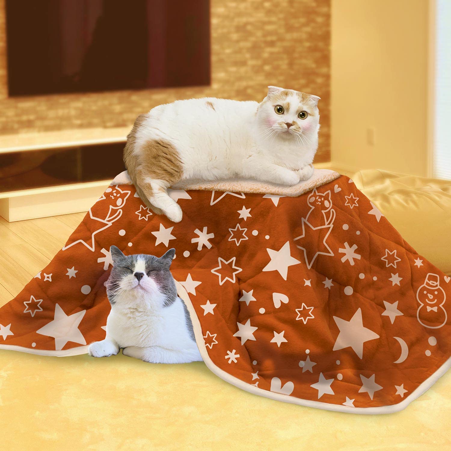 Amazon.co.jp: ドギーマンハヤシ キャティーマン 遠赤外線 ねこの夢