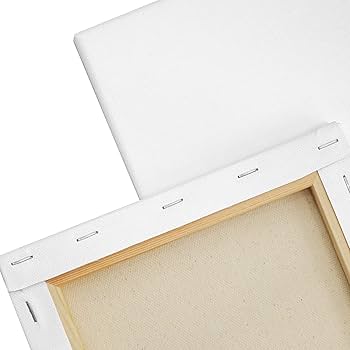 Amazon.co.jp: AUREUO 張りキャンバス セット F20 (72.7cmX60.6cm) 中