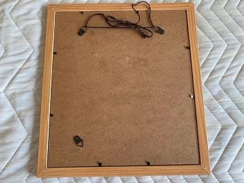 Amazon.co.jp: 青ブタ 鴨志田一 溝口ケージ 直筆サイン入り色紙 額縁