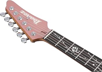 Amazon.com: Ibanez TOD10 Tim Henson Signature Electric Guitar