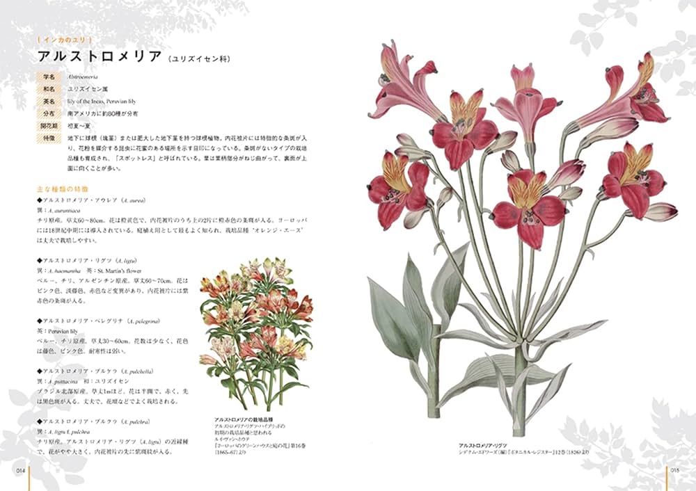 ボタニカルアートで楽しむ 花の博物図鑑 | 土橋豊 |本 | 通販 | Amazon