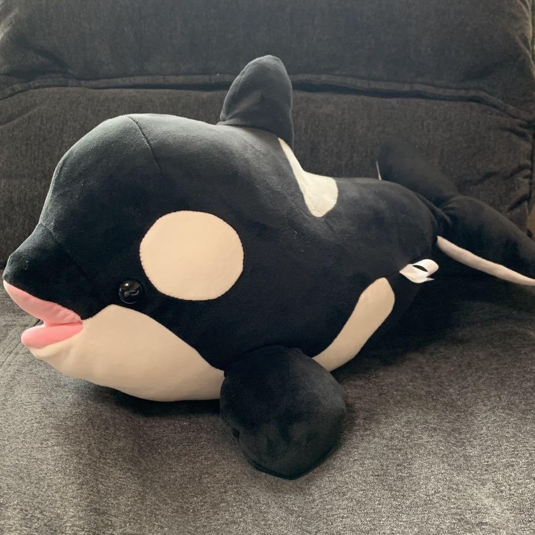 Amazon.co.jp: 神戸須磨シーワールド オルカくじ 2等 シャチ : おもちゃ