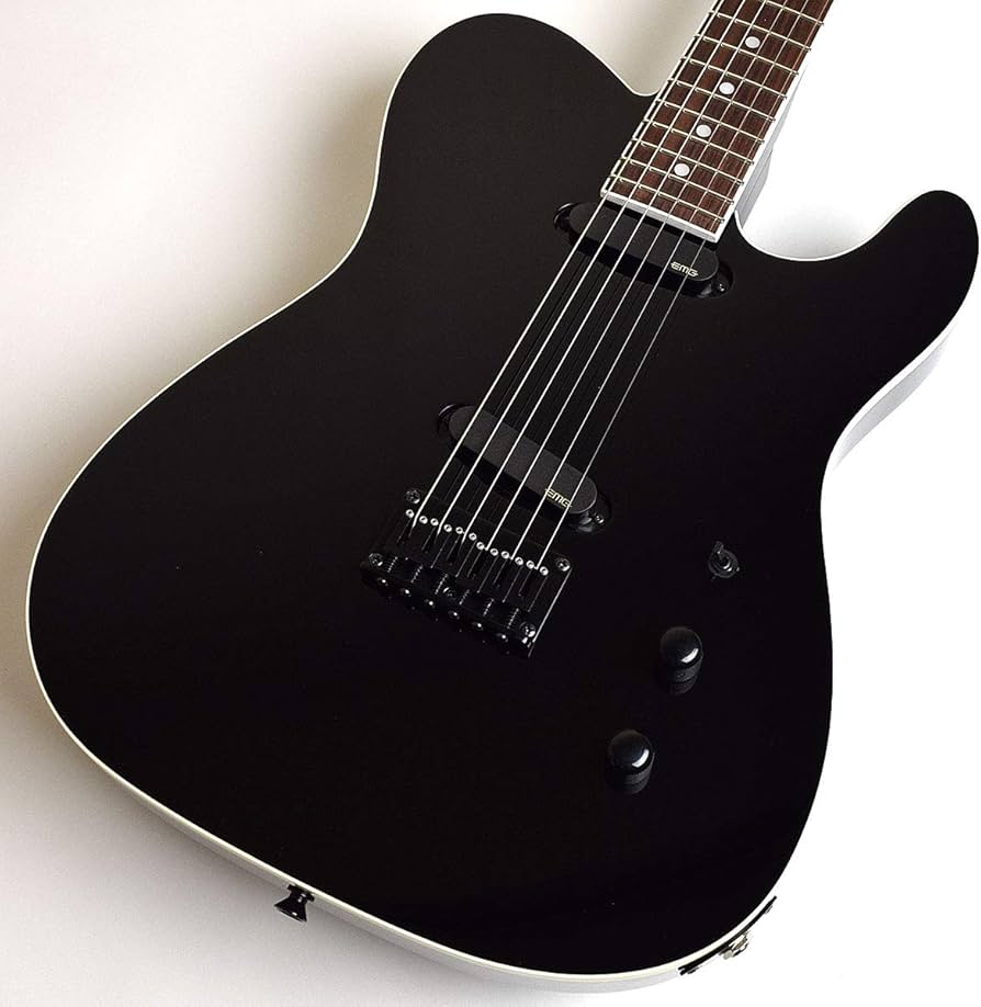 Amazon.co.jp: FERNANDES TEJ-DELUXE 2S BLK エレキギター : Musical