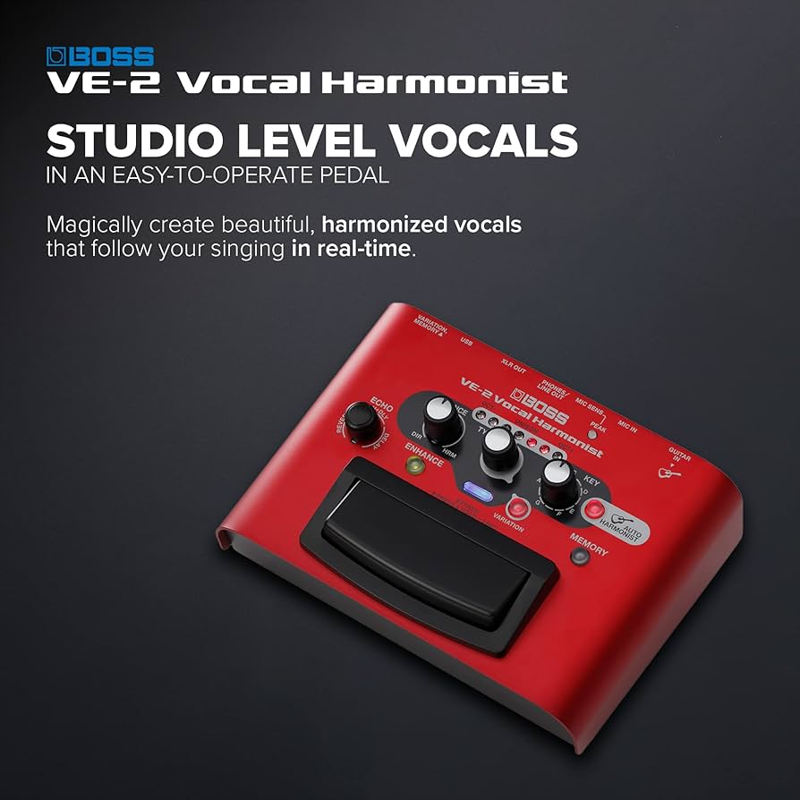 Amazon.com: BOSS VE-2 Vocal Echo Pedal for Singing Guitarists