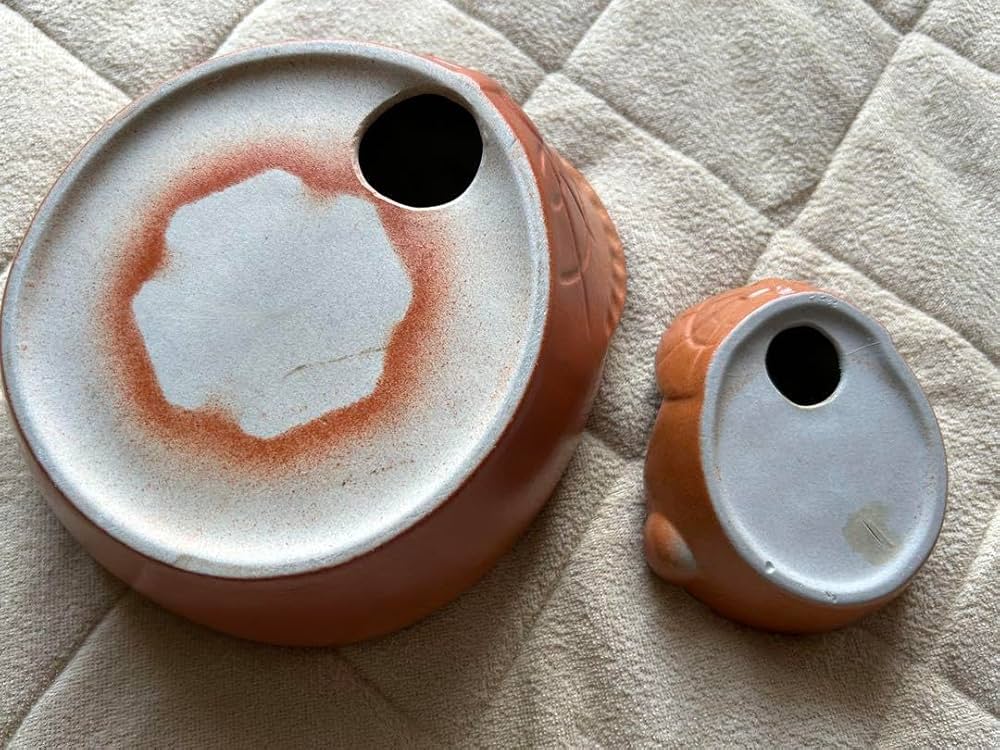 71d21Uoo3FL._AC_UF1000,