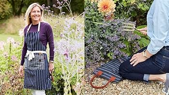 Amazon.com | Portmeirion Sophie Conran Celadon 4 Piece Place