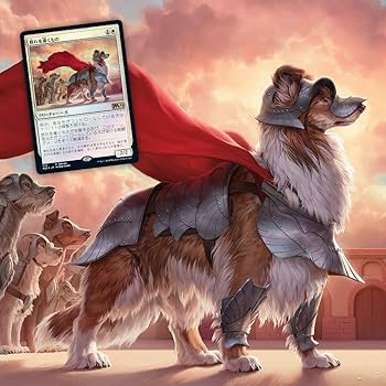 71dkWEUJu0L._AC_UF350,