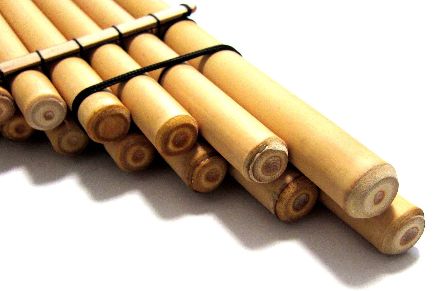 Amazon | クロマチック サンポーニャ プロ用 マルタ 2列タイプ （17+18