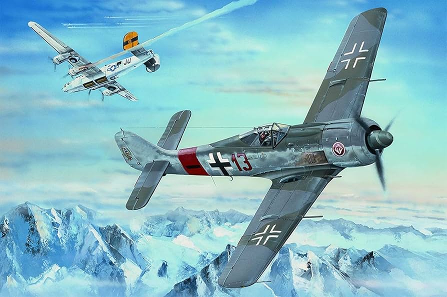 Amazon.com: Hobby Boss 81803 1/18 Big Scale Aircraft Series German