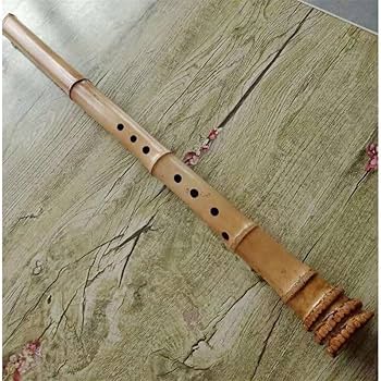 Amazon | shakuhachi五孔尺八楽器初学入門シャクハッチ七孔尺八桂竹