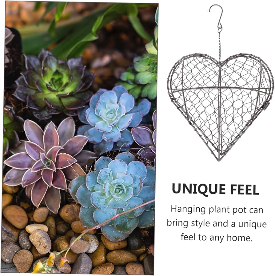 Amazon.co.jp: Kisangel 鉄製多肉植物用植木鉢 ハート型ガーデニング