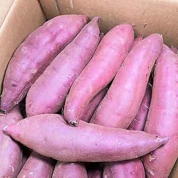 71eDxjvrLHL._AC_UF350,