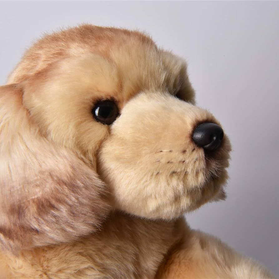 Amazon.co.jp: ゴールデンレトリバー ラブラドール レトリーバー 犬