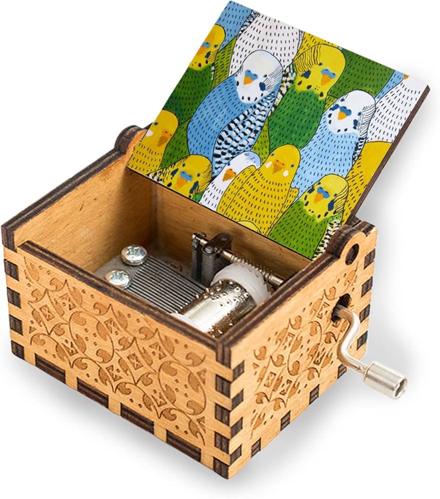 Amazon | 木製 オルゴール インコ おもしろい鳥 カラー ミュージック