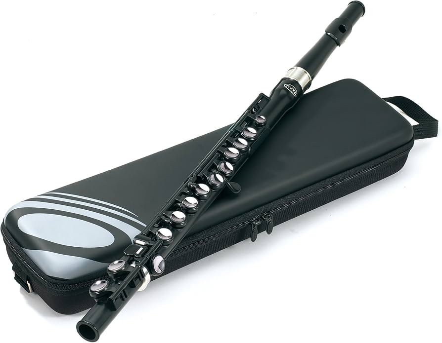 Amazon | NUVO ヌーボ プラスチック製 フルート Student Flute FGSFBLK
