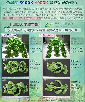 Amazon.co.jp: HaruDesign 植物育成ライト GL-X 6K FtW ブラックボディ