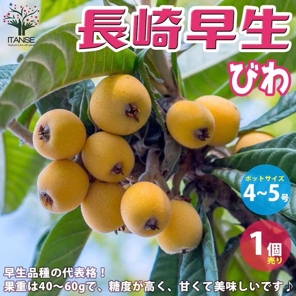 71efgGvs3bL._AC_UF1000,