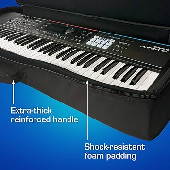 Amazon.com: ANALOG CASES Roland Juno-DS61 / Arturia AstroLab Case