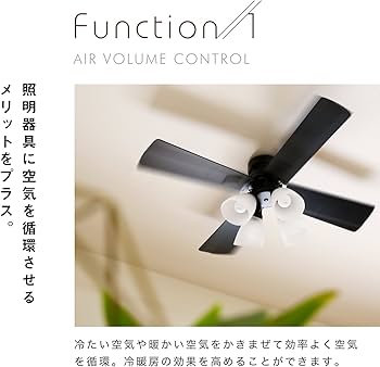 Amazon.co.jp : LOWYA ロウヤ 照明 シーリングファンライト シーリング