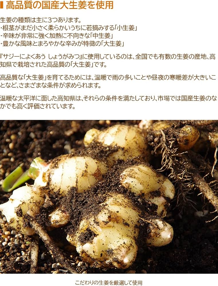 Amazon.co.jp: サジーによくあうしょうがみつ フィネス 豊潤サジー