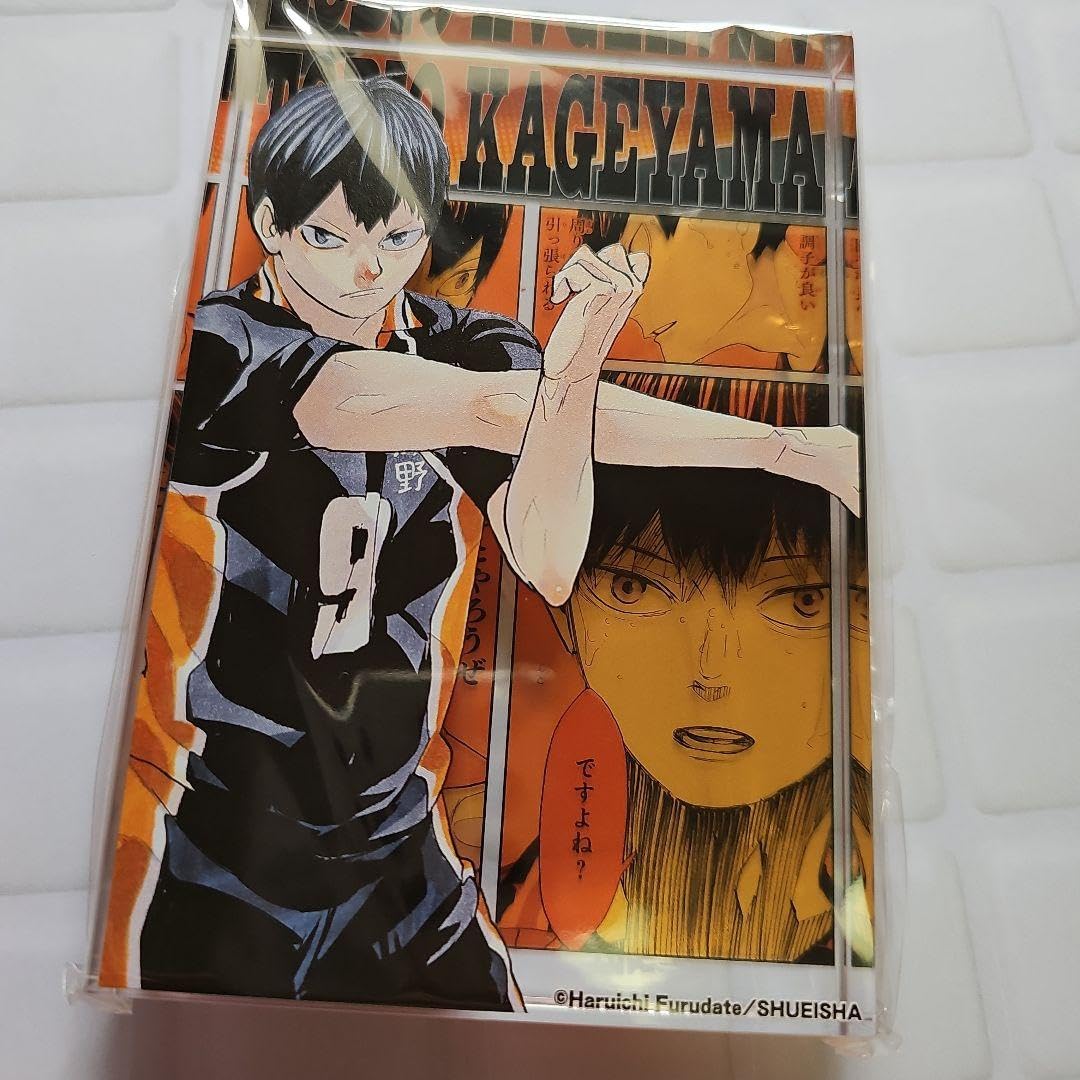 Amazon.co.jp: 影山飛雄 ハイキュー!! アクリルブロック ジャンプ