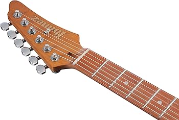 Amazon.com: Ibanez AZ24S1F Standard 6-String Right-Handed Electric
