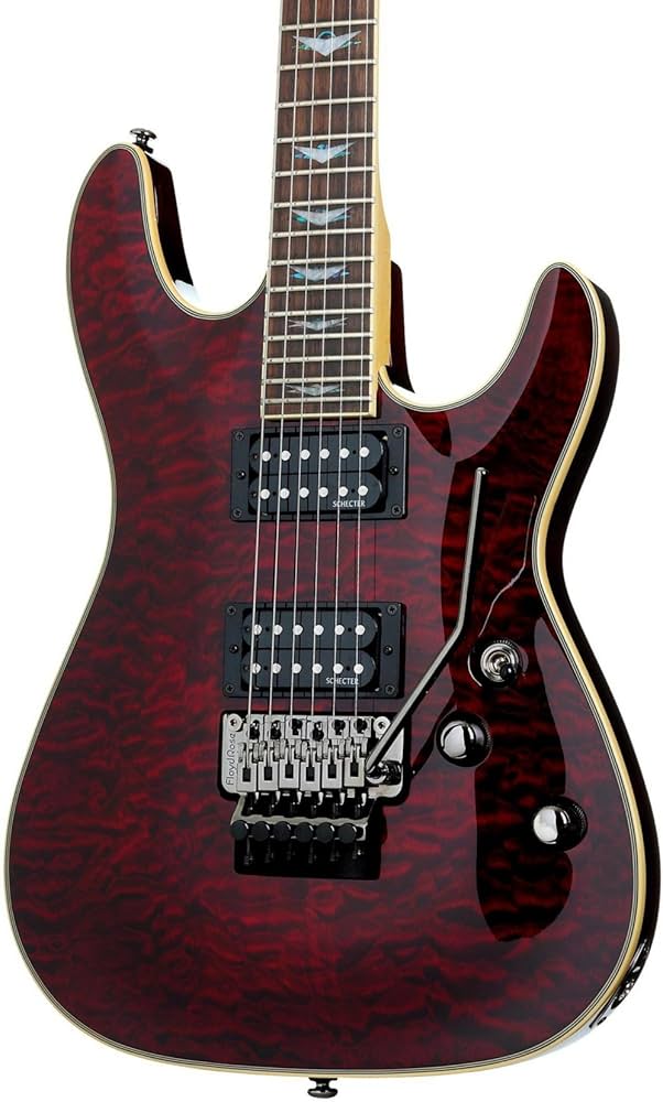 Amazon.com: Schecter Omen Extreme-6 FR Electric Guitar - Black